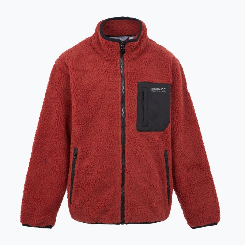 Детски суитшърт REGATTA Junior Frankie Full Zip red ochre 5