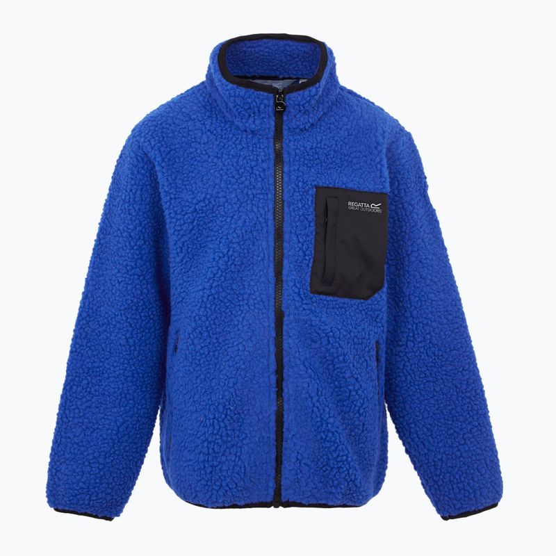 Детски суитшърт REGATTA Junior Frankie Full Zip olympian blu 5