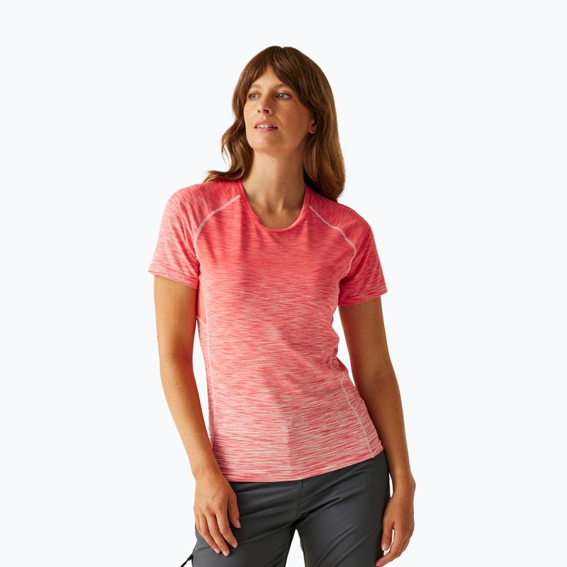 Дамска тениска REGATTA Laxley II peach bloom ombre