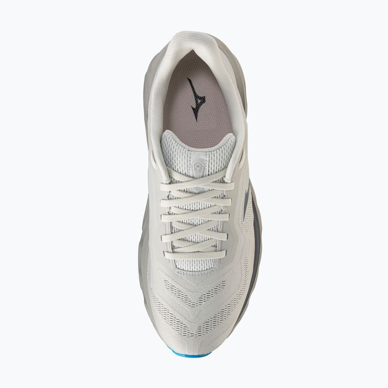 Мъжки обувки за бягане  Mizuno Wave Horizon 9 foggy dew/dark slate/blue jewel 5