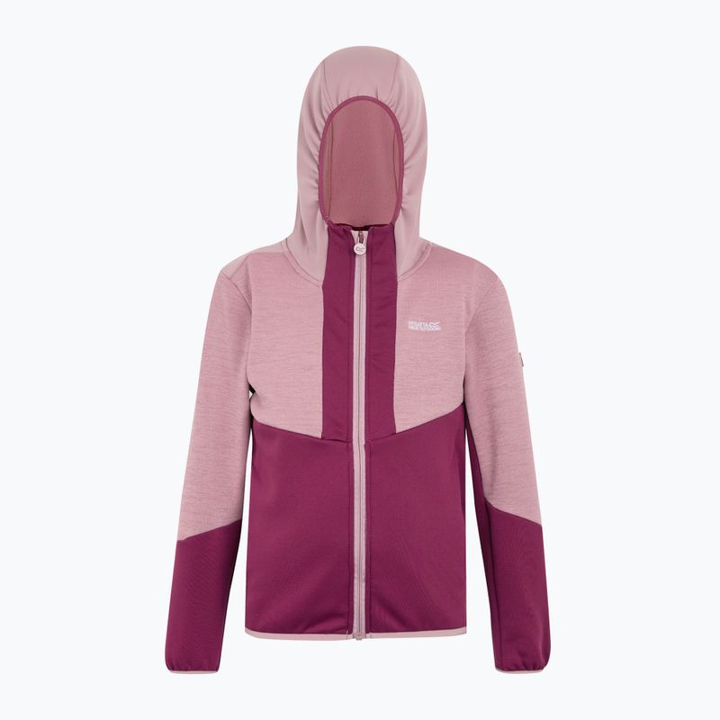 Детска поларена качулка REGATTA Dissolver X beaujolais/lilas 6