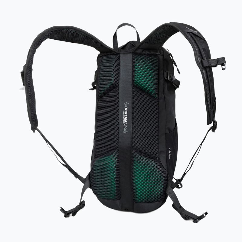 Туристическа раница REGATTA Blackfell IV 20 l black 4