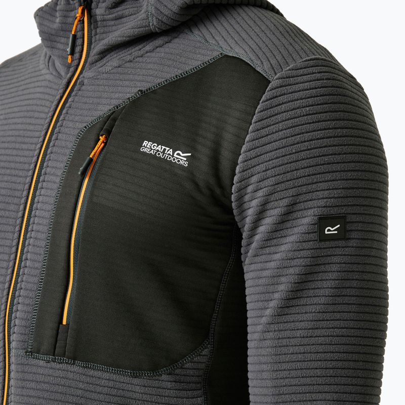 Мъжки суитшърт REGATTA Lakewright ash/black 4