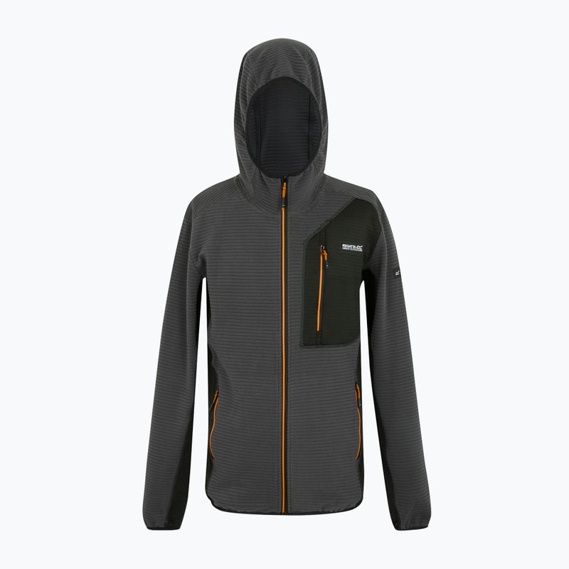 Мъжки суитшърт REGATTA Lakewright ash/black 7