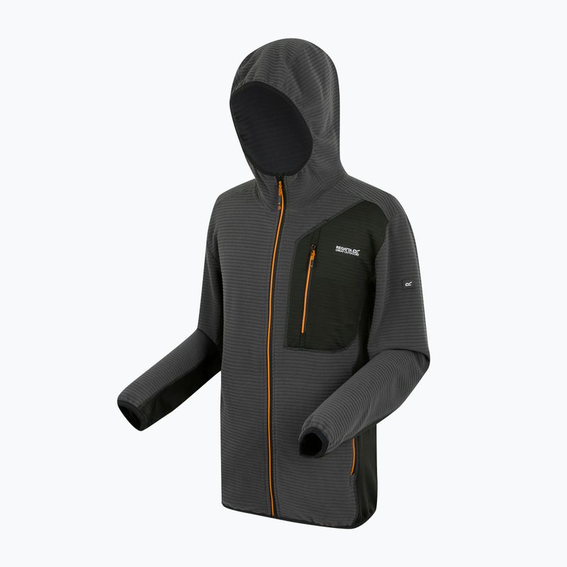 Мъжки суитшърт REGATTA Lakewright ash/black 9