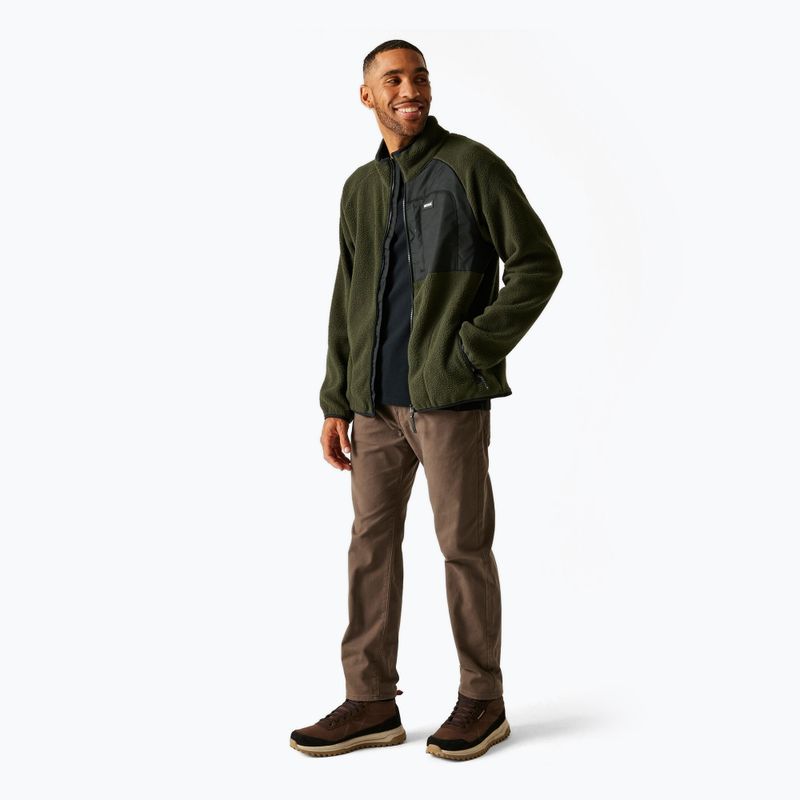Мъжки поларен суитшърт REGATTA Frankie Borg dark khaki 2