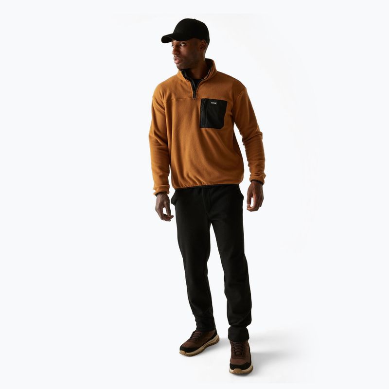 Мъжки поларен суитшърт REGATTA Frankie Half Zip brown 2