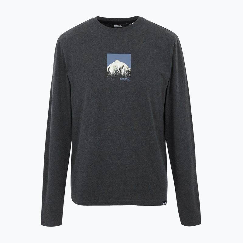 Мъжка тениска REGATTA Maylow black 5