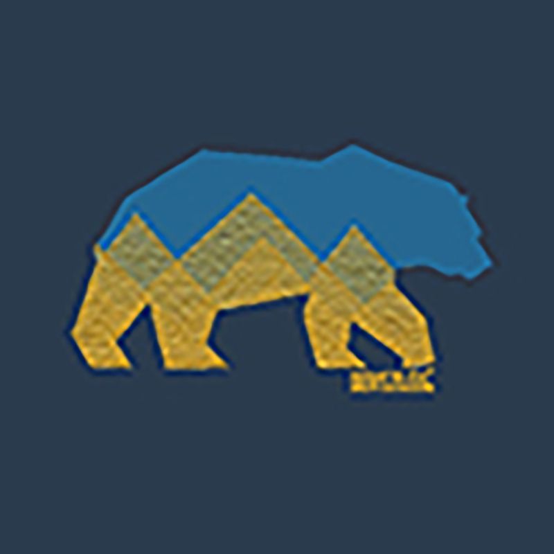 Мъжка тениска REGATTA ClineIX moonlight denim bear 8