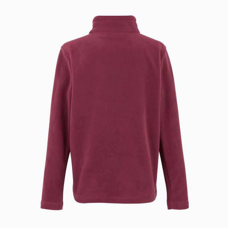 Детски поларен суитшърт REGATTA Hot Shot II dark pimento 2