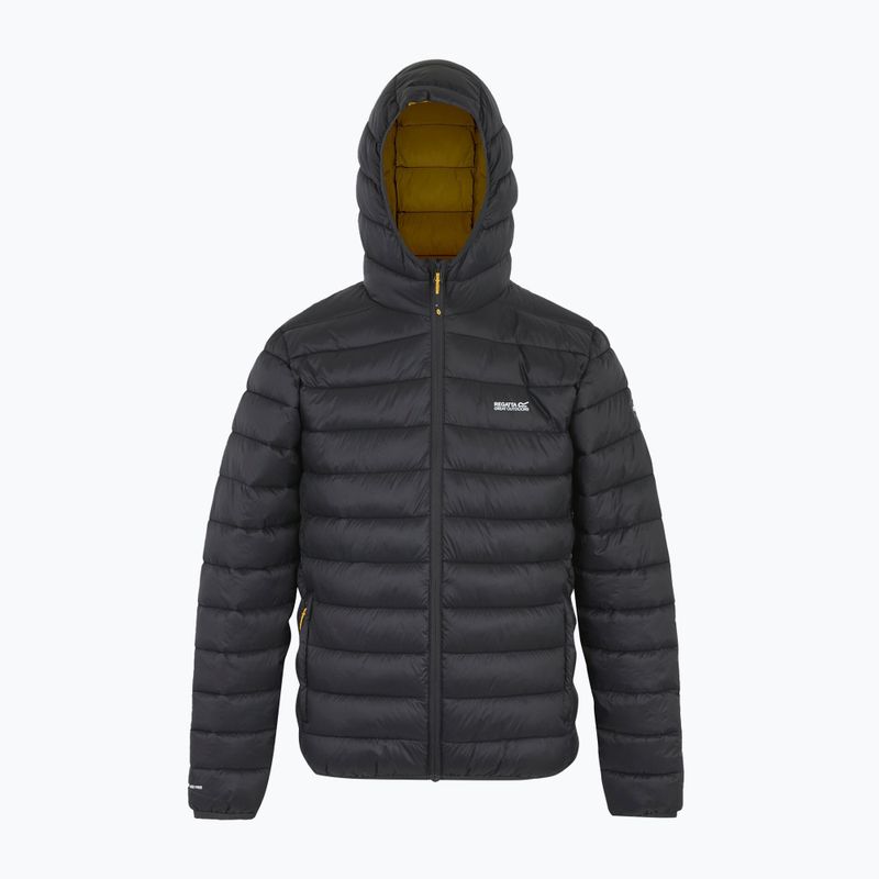Мъжко яке REGATTA Hooded Marizion ash/gold 8