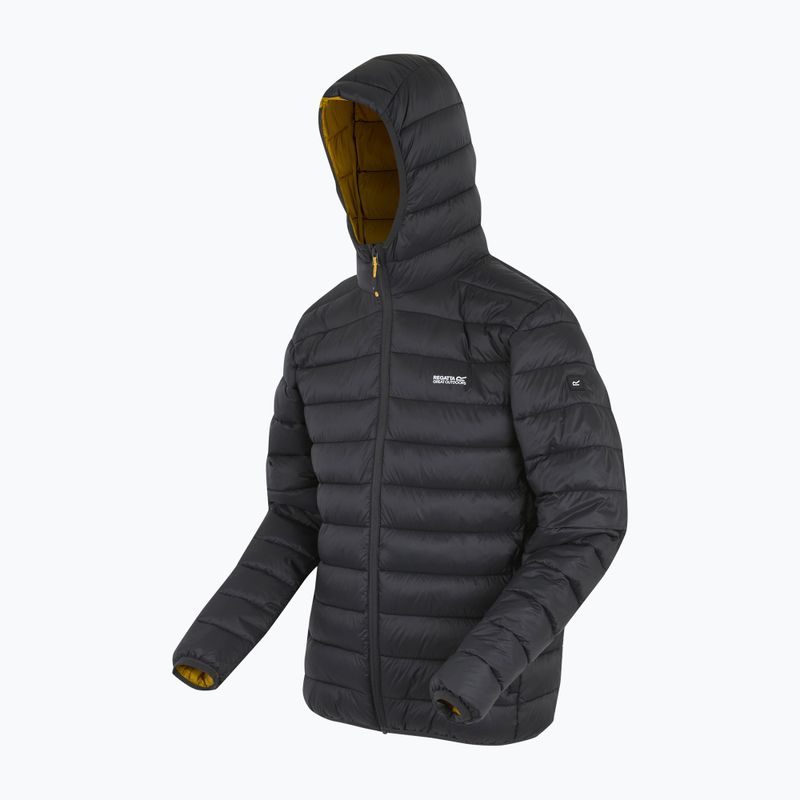 Мъжко яке REGATTA Hooded Marizion ash/gold 10