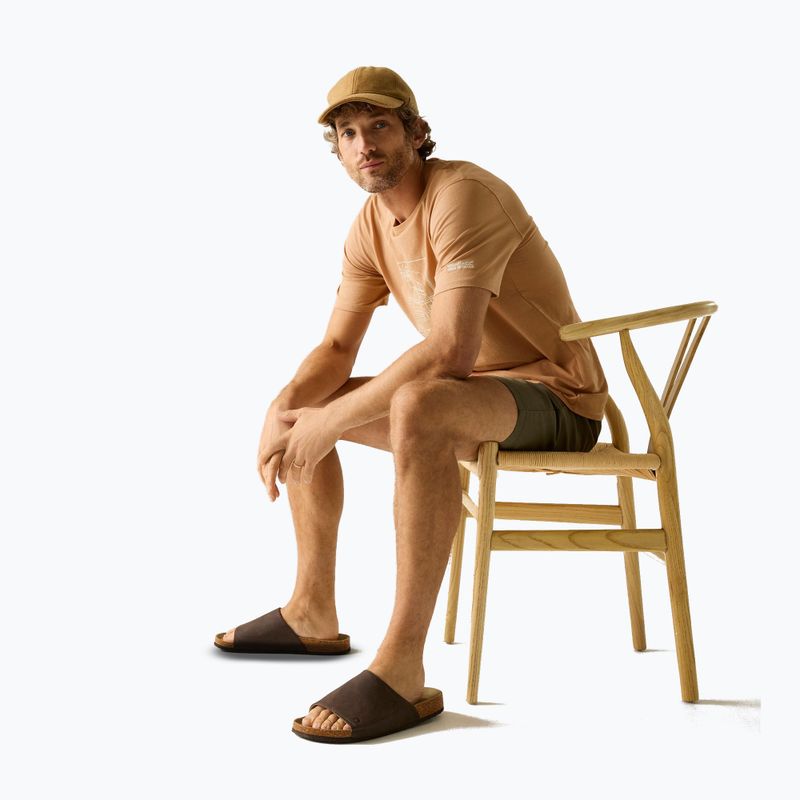 Мъжка тениска Regatta ClineIX Italian clay 4