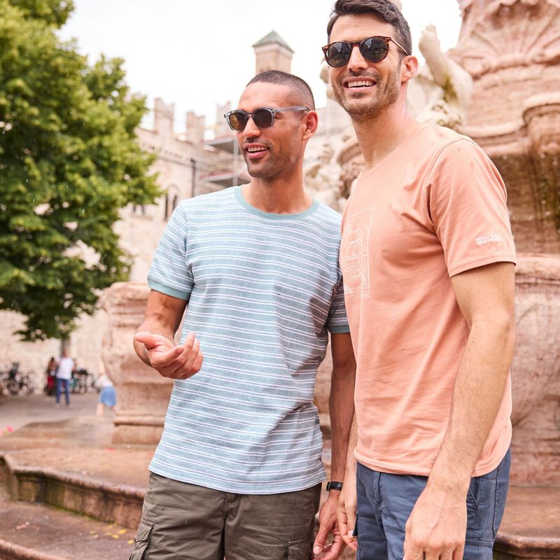 Мъжка тениска Regatta ClineIX Italian clay 8