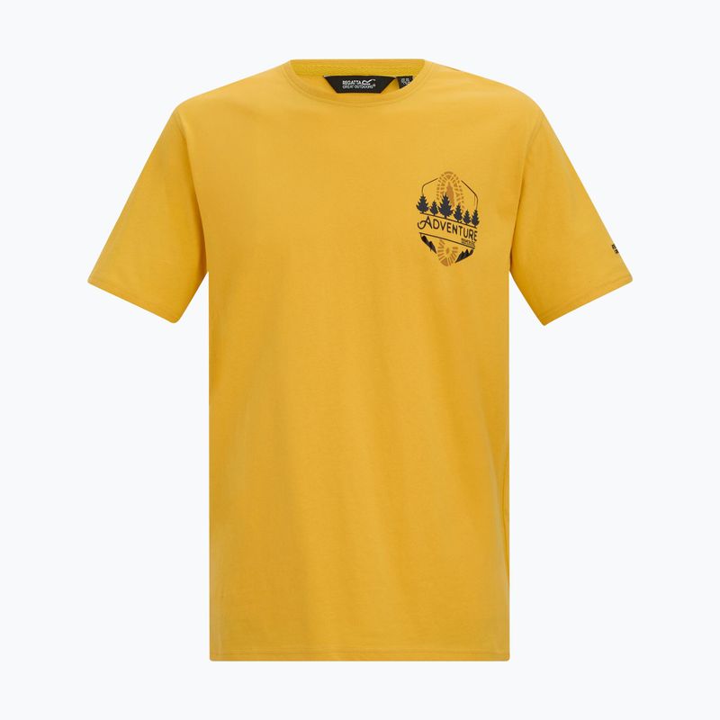 Мъжка тениска Regatta ClineIX ceylon yellow 5