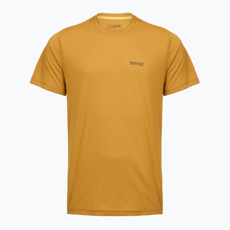 Мъжка трекинг тениска REGATTA Mindoi Anti Insect wood brown