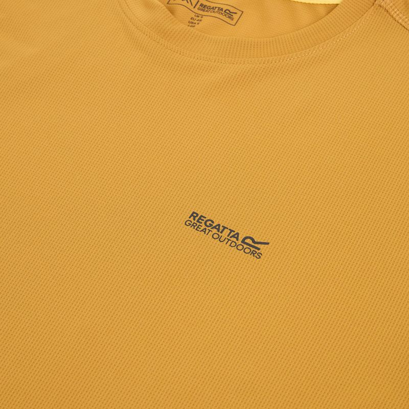 Мъжка тениска REGATTA Mindoi Anti Insect wood brown 3