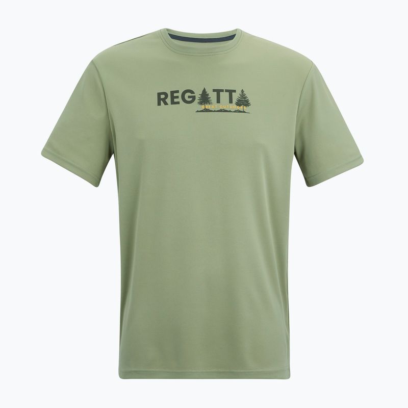 Мъжка тениска за трекинг REGATTA Fingal light sage 5