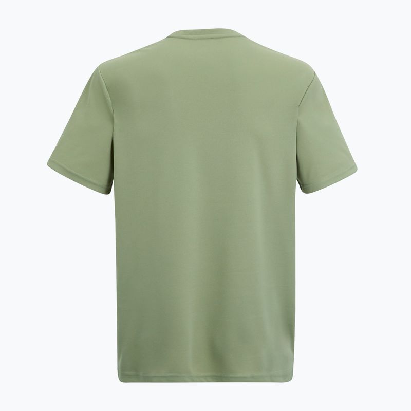 Мъжка тениска за трекинг REGATTA Fingal light sage 6