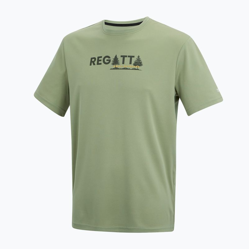 Мъжка тениска за трекинг REGATTA Fingal light sage 7