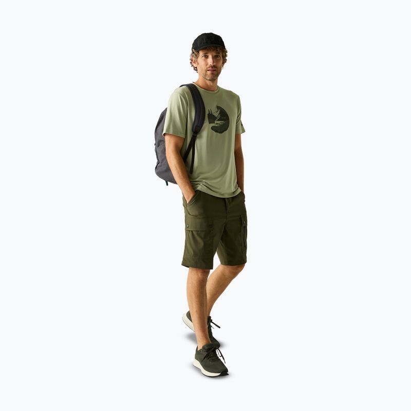 Мъжка тениска за трекинг REGATTA Fingal Stretch light sage 2
