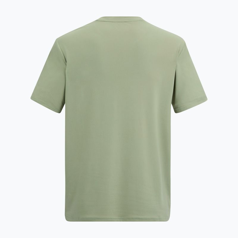 Мъжка тениска за трекинг REGATTA Fingal Stretch light sage 6