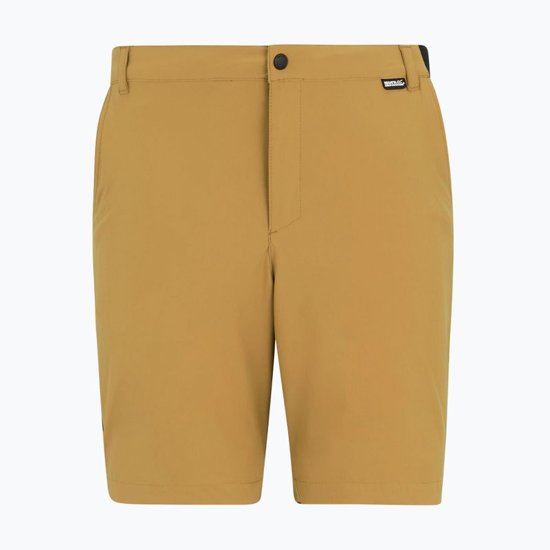 Мъжки шорти за трекинг REGATTA Anti Insect Travel Light wood brown 5
