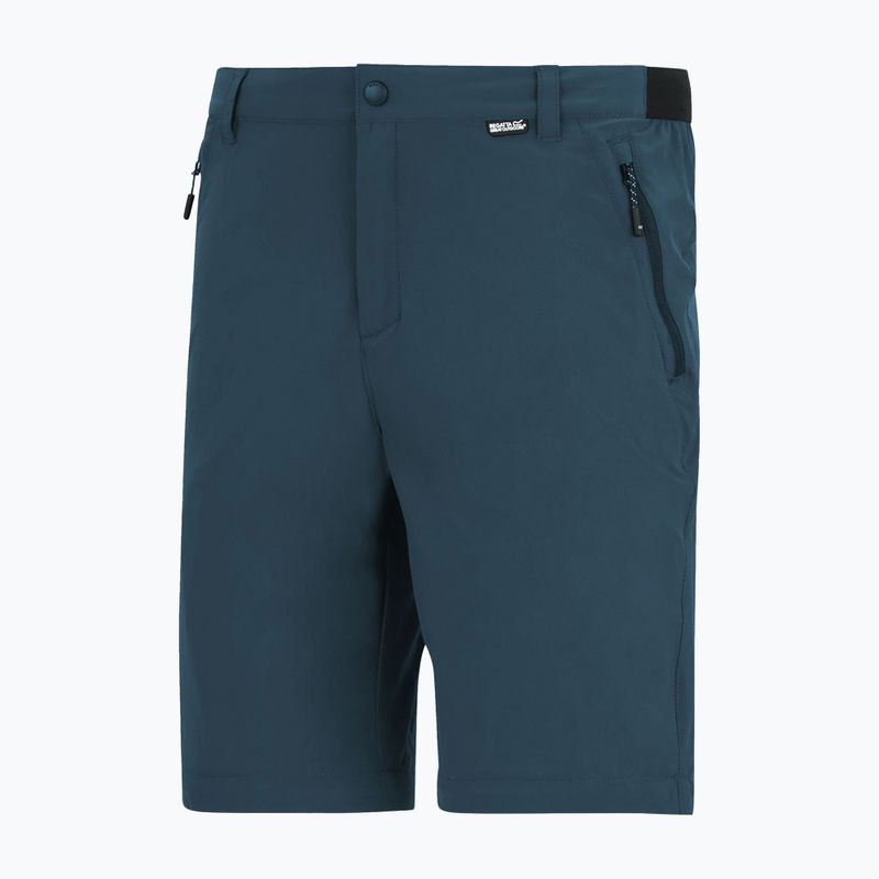 Мъжки панталони за трекинг REGATTA Anti Insect Travel Light night sky 6