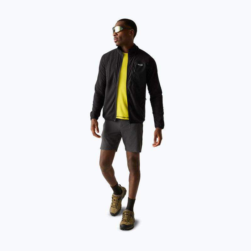 Мъжки поларен суитшърт REGATTA Fleece Scaris ash 2