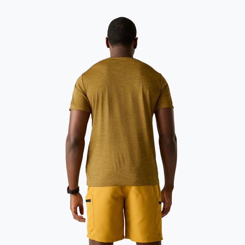 Мъжка тениска за трекинг REGATTA Fingal Edition wood brown 3