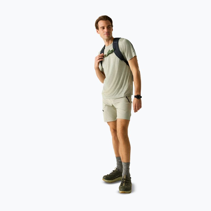 Мъжка тениска за трекинг REGATTA Fingal Edition light sage 2