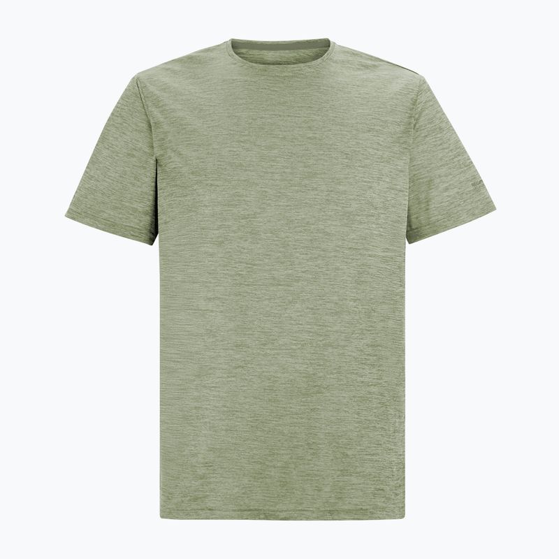 Мъжка тениска за трекинг REGATTA Fingal Edition light sage 5