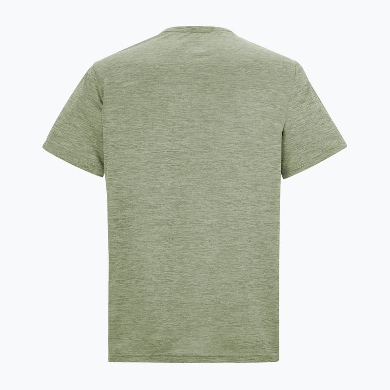 Мъжка тениска за трекинг REGATTA Fingal Edition light sage 6