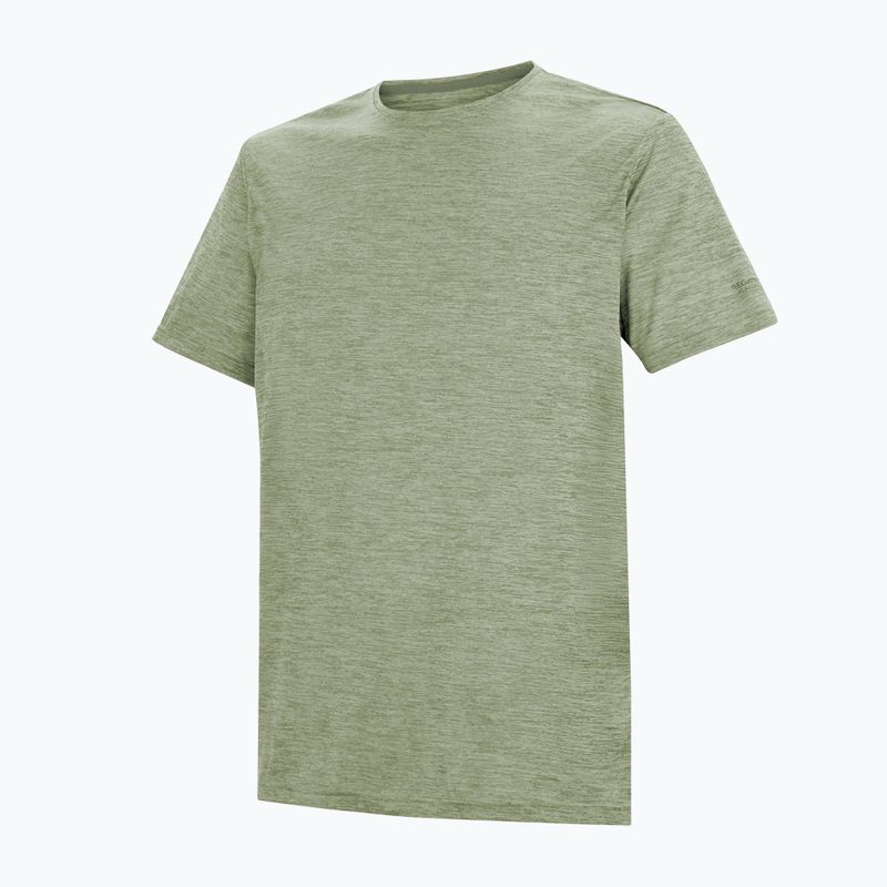 Мъжка тениска за трекинг REGATTA Fingal Edition light sage 7