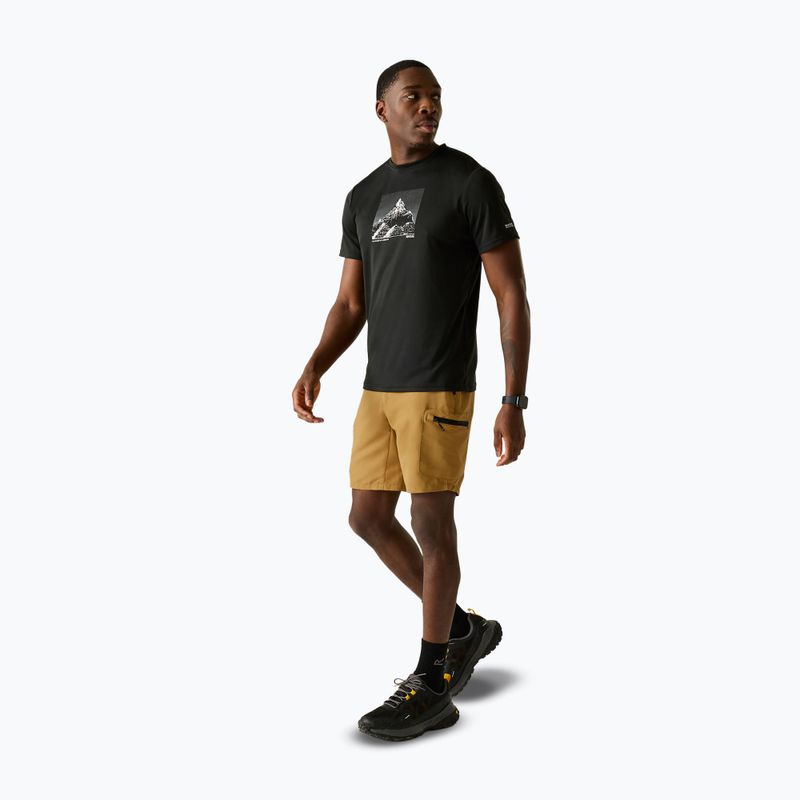 Мъжки шорти за трекинг REGATTA Leesville III wood brown 2