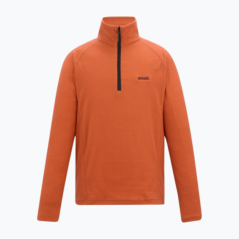 Мъжки суитшърт REGATTA Montes rusty orange 5