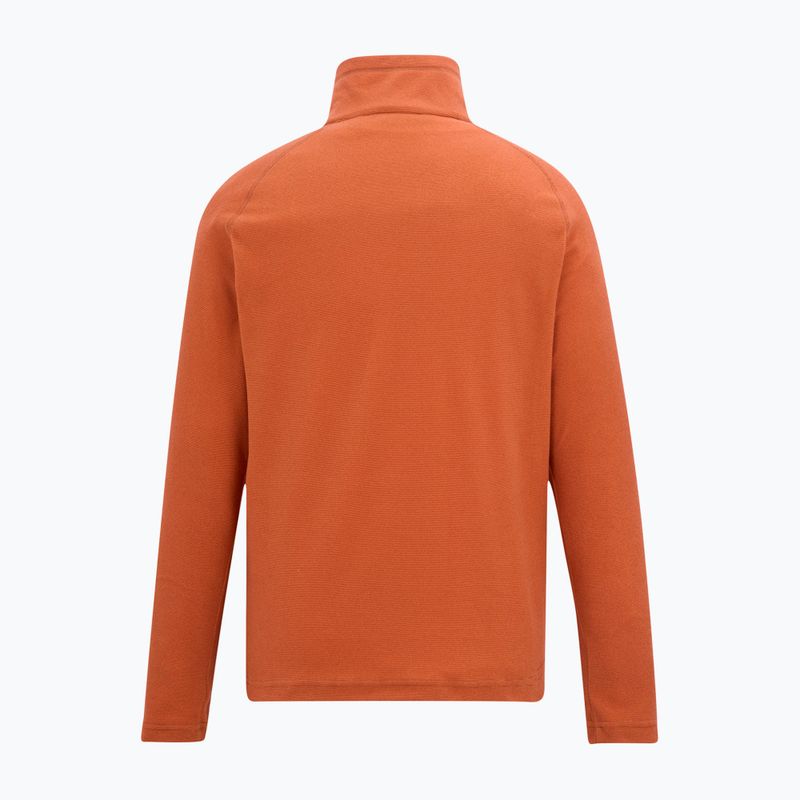 Мъжки суитшърт REGATTA Montes rusty orange 6