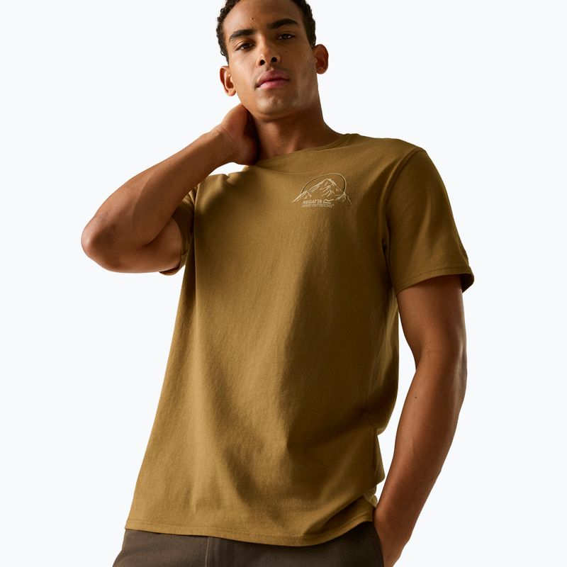 Мъжка тениска Regatta ClineIX rich tan original outdoor 4