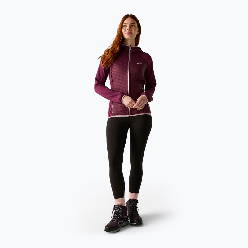 Дамско хибридно яке REGATTA Andreson Hybrid fig 2