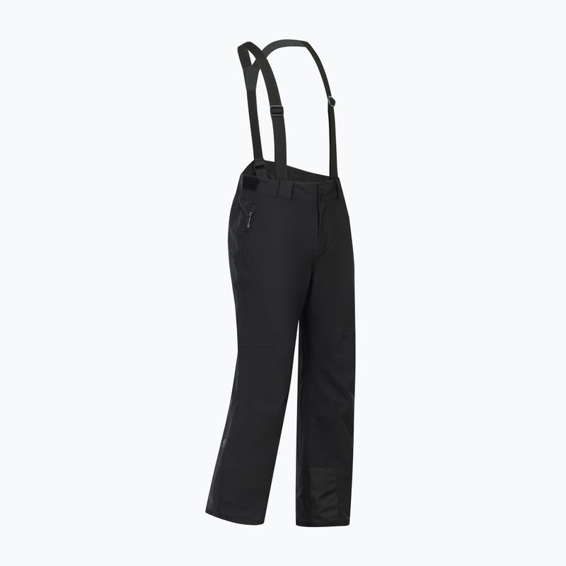Мъжки скиорски панталони Dare 2b Achieve III Pant black 10