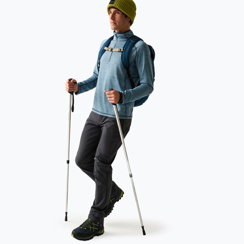 Мъжки софтшел панталони REGATTA Geo Softshell ash 2