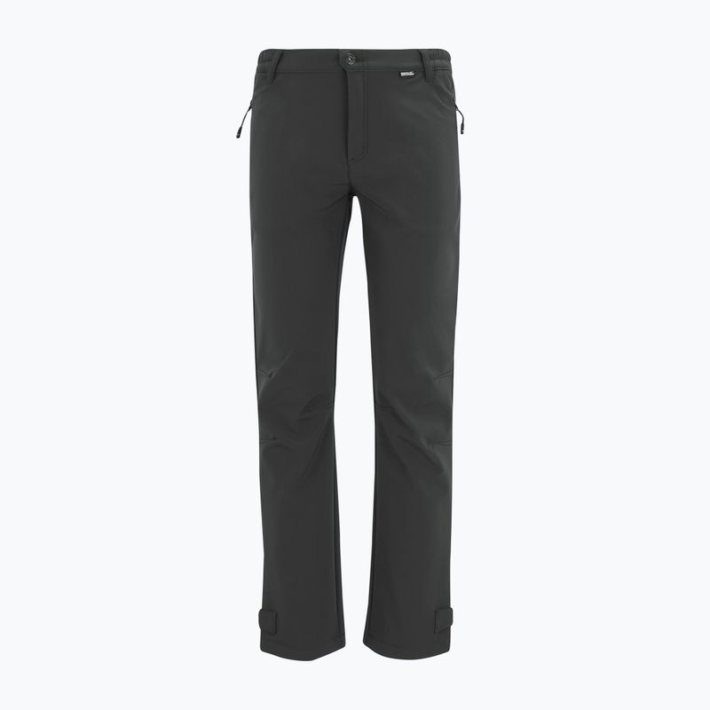 Мъжки софтшел панталони REGATTA Geo Softshell ash 7