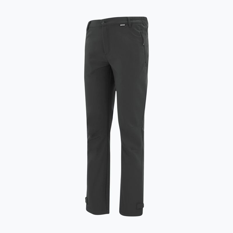 Мъжки софтшел панталони REGATTA Geo Softshell ash 9