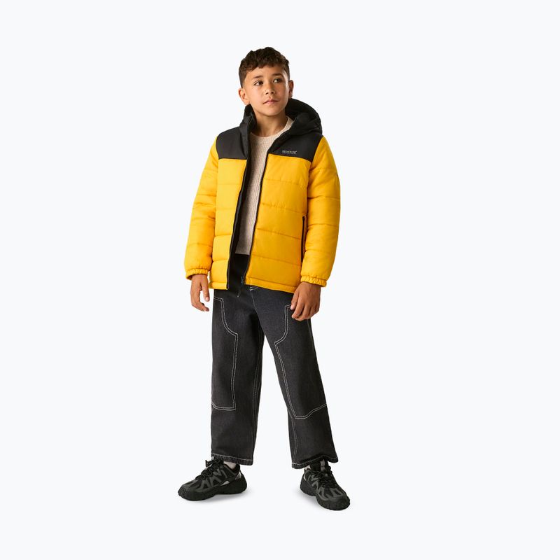 Детско ватирано яке REGATTA Lofthouse black/mustard 2
