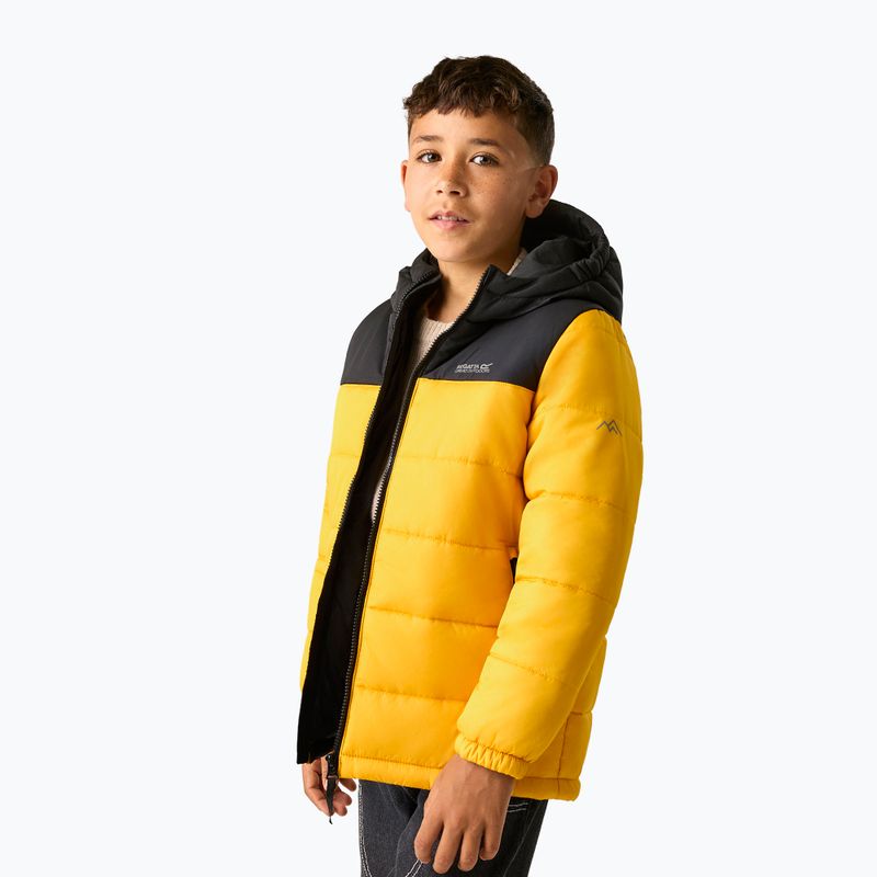 Детско ватирано яке REGATTA Lofthouse black/mustard 5