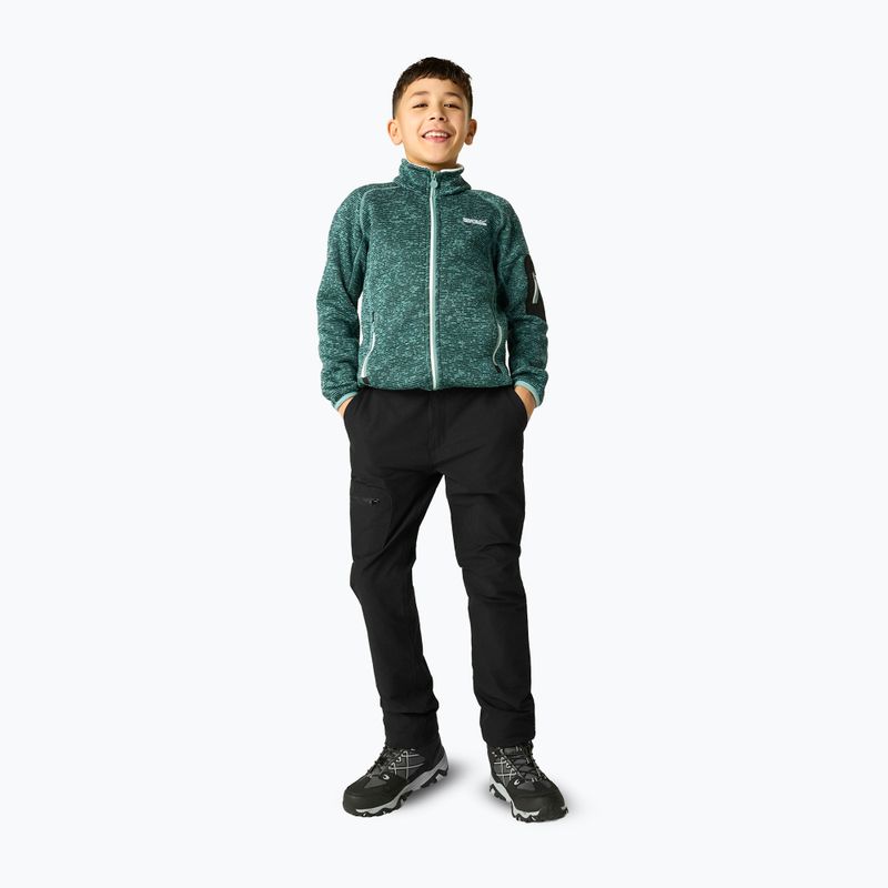 Детски панталони за трекинг REGATTA Highton Winter RKJ175 black 5