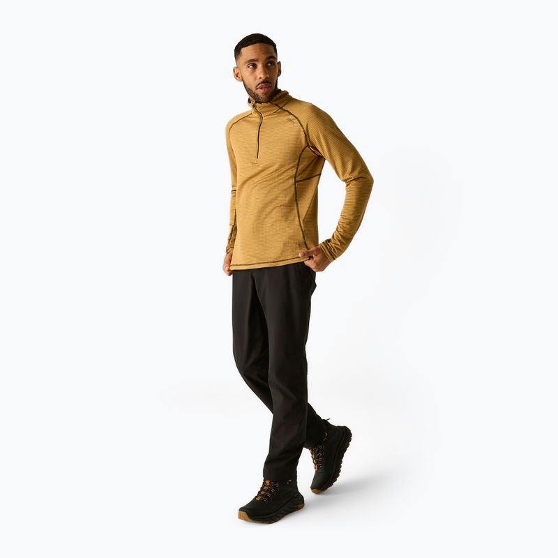 Мъжки поларен суитшърт REGATTA Yonder II wood brown 2