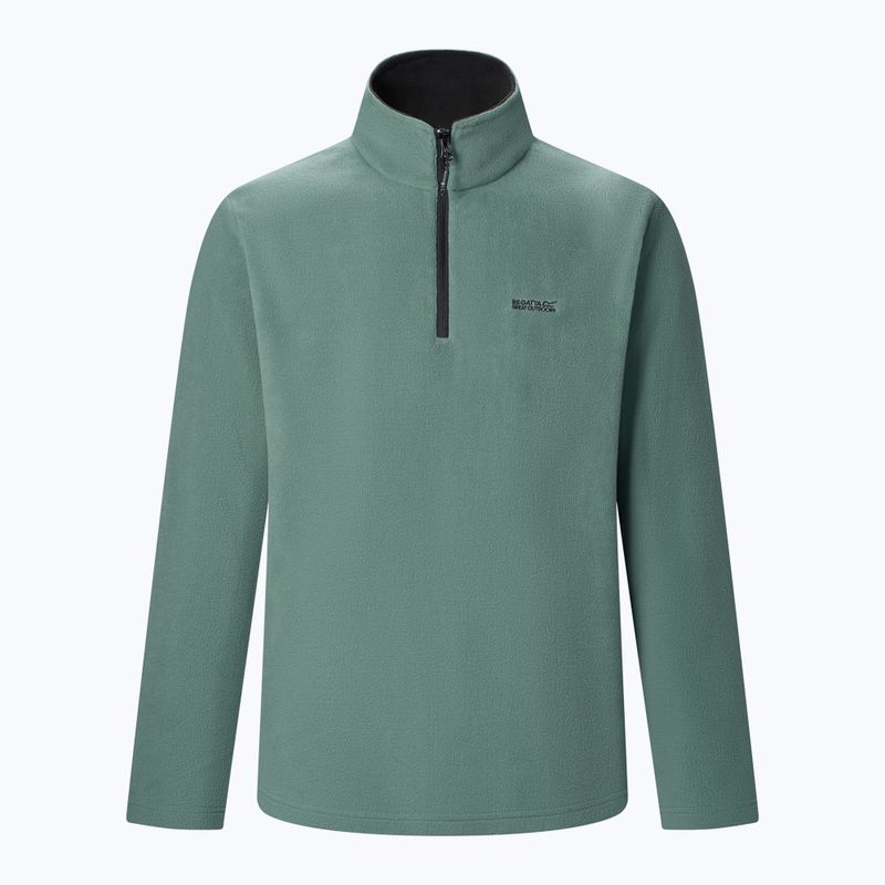 Мъжки поларен суитшърт Regatta Thompson dark forest green 6
