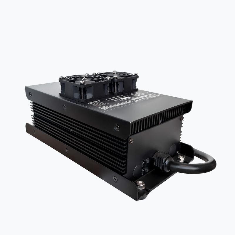 Radinn Стандартно зарядно устройство EU KP черно 910024AA 2