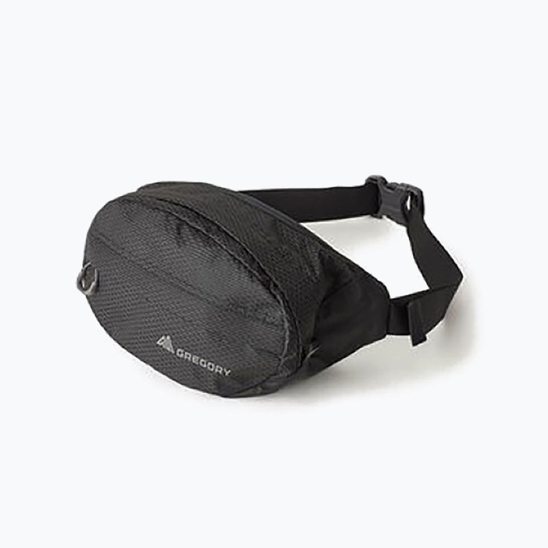 Раница Gregory Nano Waistpack черна 126861 9